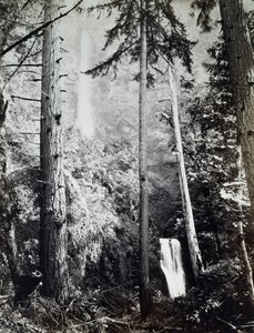 Cascate Multnomah, Cascate, Fiume Columbia da Carleton E. Watkins